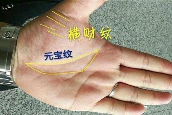 掌中玄机：通过赌运手相分析你的胜负命运
