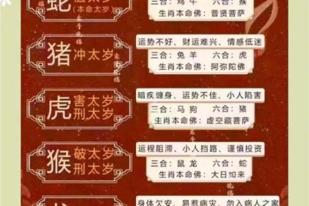 将军象征的生肖揭秘