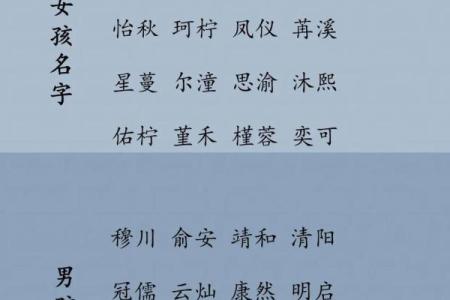 为左姓女孩挑选一个温婉动人的名字