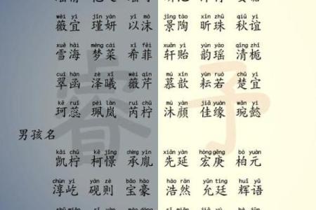 新生宝宝取名宝典：精选独特又有意义的名字推荐