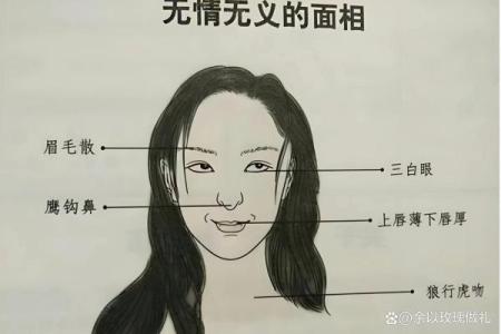 三白眼面相解析：揭示性格与命运的深层联系