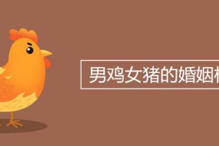 生肖鸡与猪的婚姻是否注定幸福？揭秘两者相配的奥秘