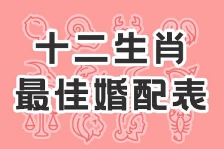 女牛男虎婚姻解析：双方性格冲突与互补的平衡