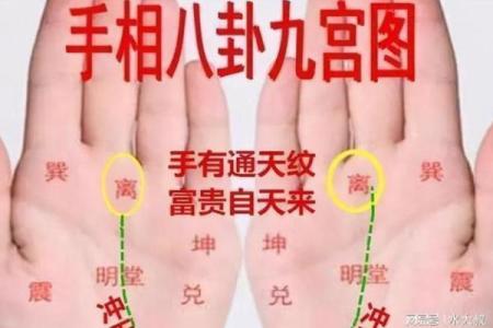 手相绝学指南：识别掌纹背后的深层含义
