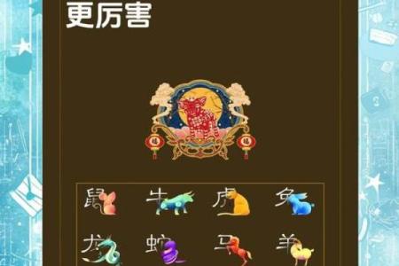 生肖性格特点揭秘