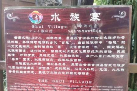 探索水族节日背后的独特文化与传统