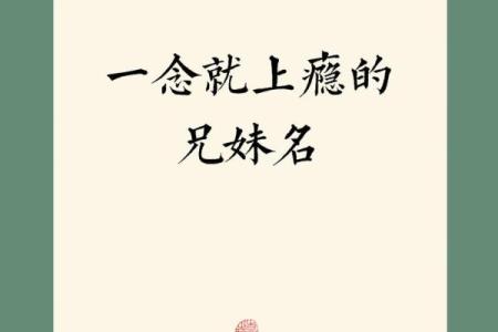 命名难题不再困扰，最佳宝宝起名网站推荐
