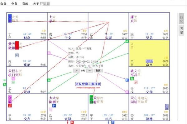 紫微排盘深度解析与实用指南