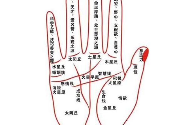 揭秘成功人士的手相密码：一图掌握财富与事业巅峰