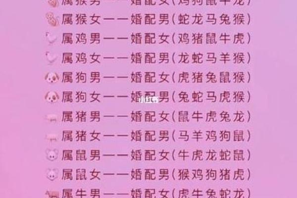 属相配对秘籍，揭秘你的最佳伴侣