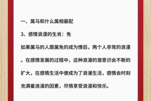 属相配对秘籍，揭秘你的最佳伴侣