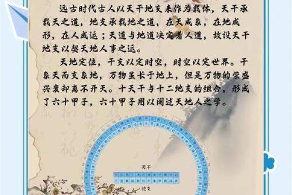 探究地支与天干的深层关系，如何影响运势？
