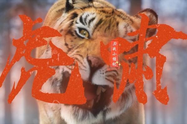 虎啸天下，谁敢挑战？