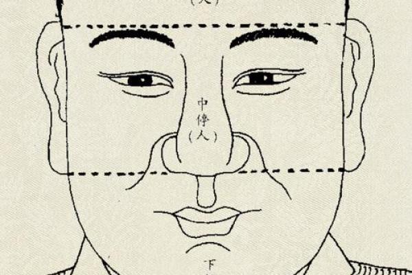 揭秘大官面相：如何一眼识出成功人士的秘密