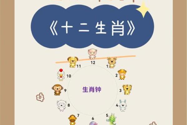 浣熊闯生肖，趣味横生大冒险