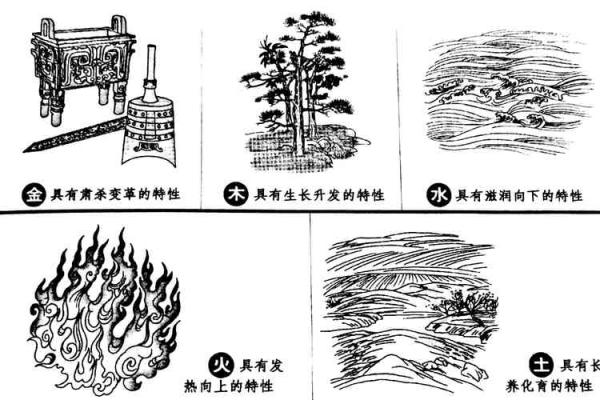 五行与命运的关系，如何用五行推算未来