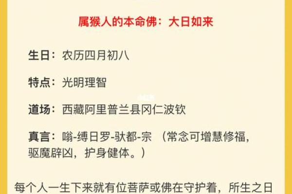 鹊桥命理在线阅读，精准分析你的命运走势