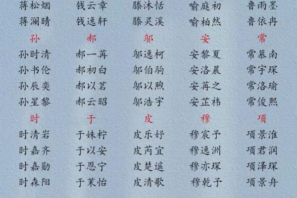 福瑞圆起名秘籍：打造独一无二的幸运名