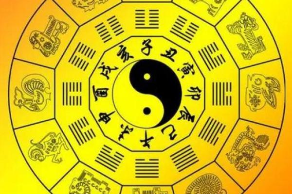 玄机生肖，揭秘十二生肖背后的神秘力量