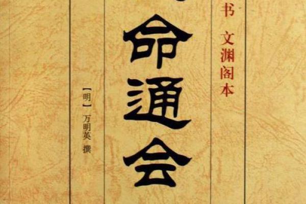 深入分析元贞八字，揭示未来的可能性