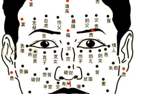 五型人面相揭秘：洞察命运，解锁你的运势密码