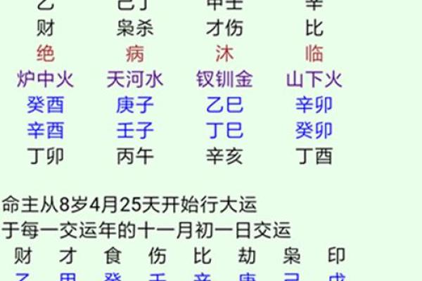 丁酉年风水排盘解读：运势的关键转折点