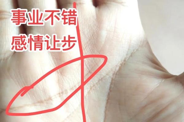 川字掌相揭秘：财运亨通，事业辉煌的秘密