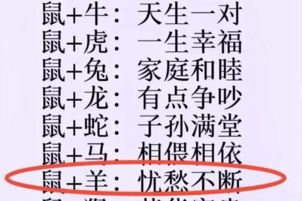 蛇年必看：揭秘最适合你的生肖配对