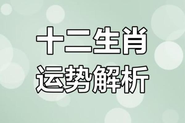 生肖运势大揭秘：下周运势谁最旺？