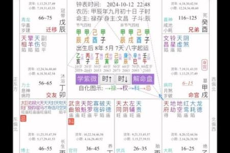 四柱排盘软件与传统命理学的完美结合