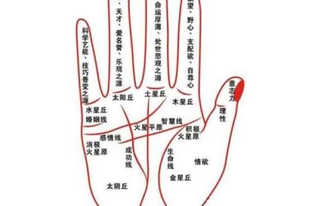 揭秘成功人士的手相密码：一图掌握财富与事业巅峰