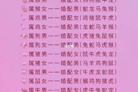 属相配对秘籍，揭秘你的最佳伴侣