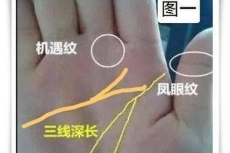 断掌纹女性必看：揭秘命运掌中秘密