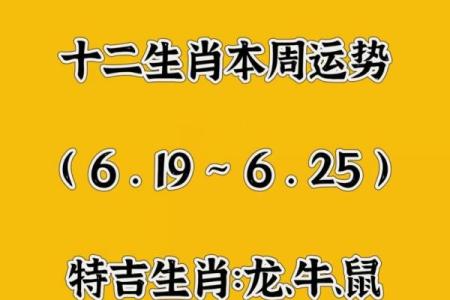 卜打生肖，揭秘十二生肖运势大揭秘