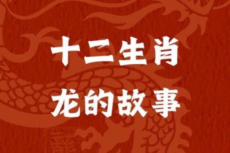 玄机生肖，揭秘十二生肖背后的神秘力量