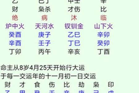 丁酉年风水排盘解读：运势的关键转折点