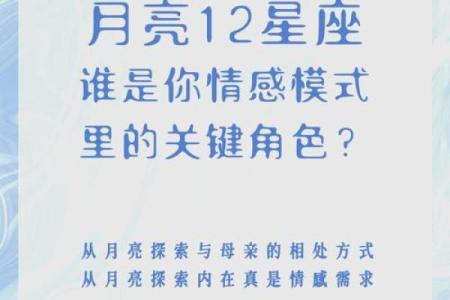 老九门星座之谜：揭秘十二星座背后的神秘力量