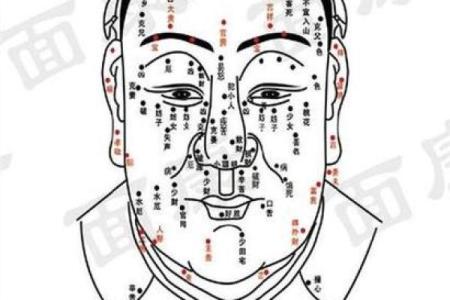 面相大揭秘：十大好运痣相，你占了几颗？