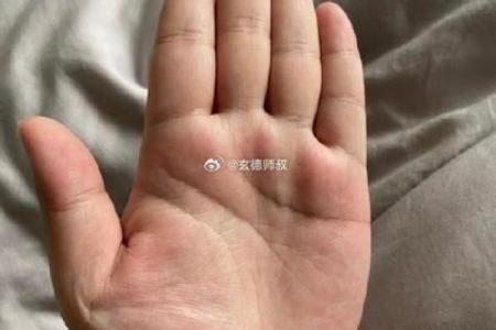 川字掌相揭秘：财运亨通，事业辉煌的秘密