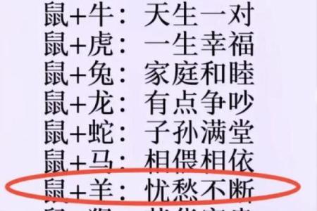 蛇年必看：揭秘最适合你的生肖配对