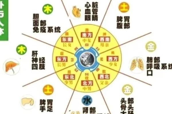 天干时啥到底是什么意思？专家为你解答