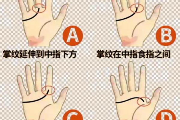 手相揭秘：掌握命运，洞悉人生秘密