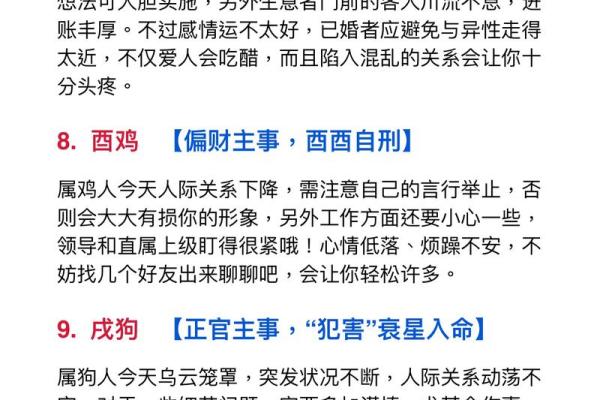 2023年农历生肖查询，揭秘你的运势密码