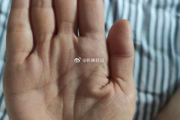 逆境中的手相贵人：揭秘命运转折的神秘力量