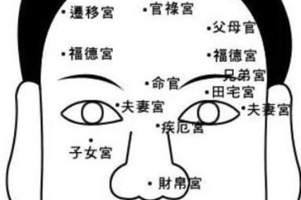 面相识人：揭秘五官筋骨中的运势密码