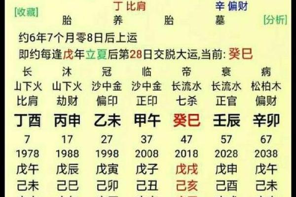九月份鸡宝宝：揭秘五行运势中的神秘命格