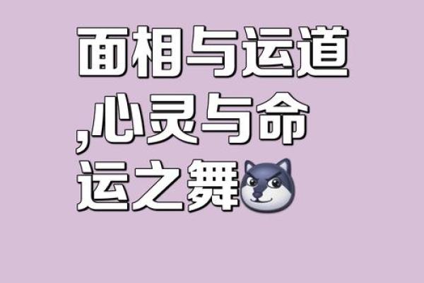 拱夹合命理，助你事业腾飞的秘密！