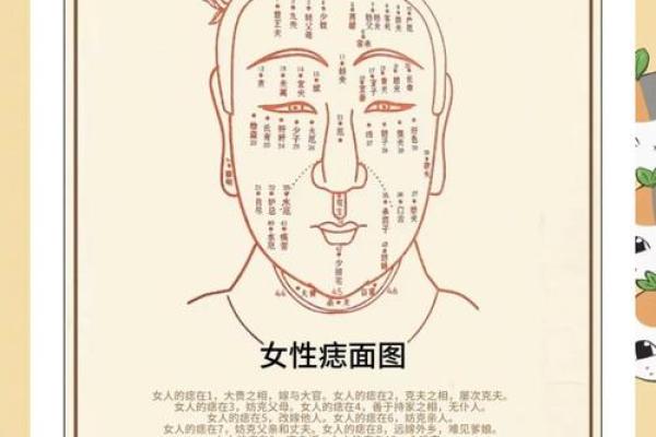 腿上痣相大全：解码你的运势，一痣定乾坤