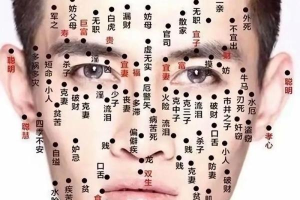 腿上痣相大全：解码你的运势，一痣定乾坤