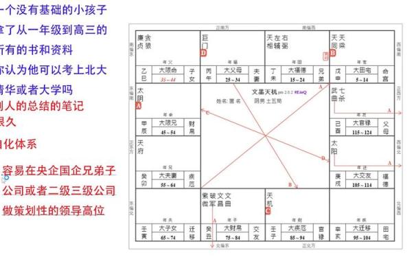 想知道未来吗？紫微排盘免费解读，准确分析人生走势